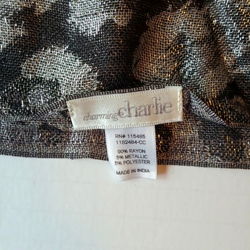 Charming Charlie's black and silver circle scarf.